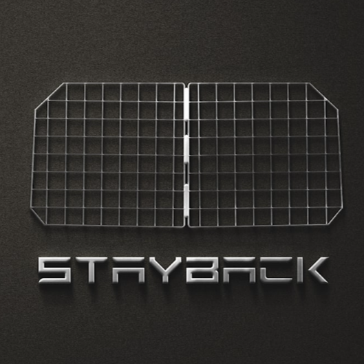 StayBack - Founders Club - innovative Patent Pending easy mount - Pet Barrier for Tesla Model Y